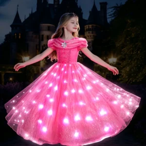 Princess Costume LED Light Up Dress